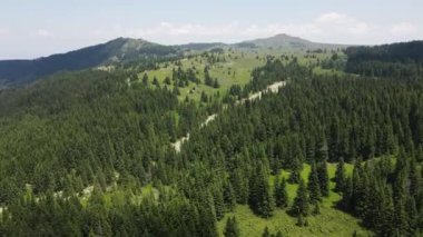 Bulgaristan 'ın Sofya Şehir Bölgesi, Vitosha Dağı' ndaki Konyarnika bölgesinin havadan görüntüsü