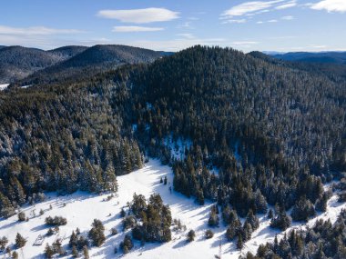 Bulgaristan 'ın Buzdan Pazardzhik Bölgesi ile kaplı Bekika Barajı' nın kış manzarası