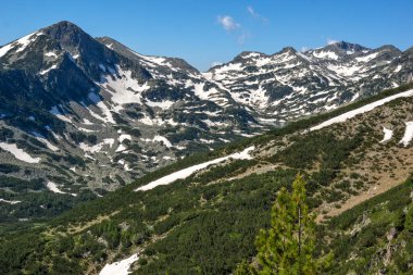 Bulgaristan 'ın Popovo Gölü yakınlarındaki Pirin Dağı' nın İnanılmaz Yaz Manzarası