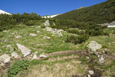 Bulgaristan 'ın Popovo Gölü yakınlarındaki Pirin Dağı' nın İnanılmaz Yaz Manzarası