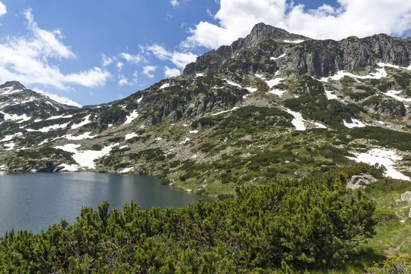 Paysage Estival Incroyable Montagne Pirin Près Lac Popovo Bulgarie — Photo