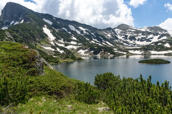 Amazing Summer Landscape Pirin Mountain Dekat Popovo Lake Bulgaria — Stok Foto