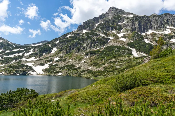 Amazing Summer Landscape Pirin Mountain Dekat Popovo Lake Bulgaria — Stok Foto