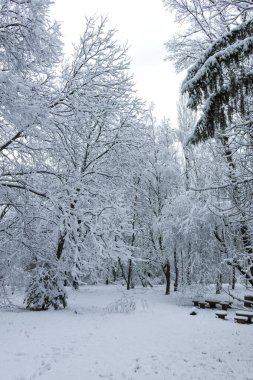 Bulgaristan 'ın Sofya kentindeki South Park' ın şaşırtıcı kış manzarası