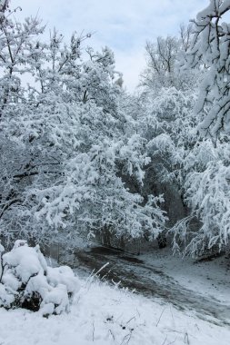 Bulgaristan 'ın Sofya kentindeki South Park' ın şaşırtıcı kış manzarası