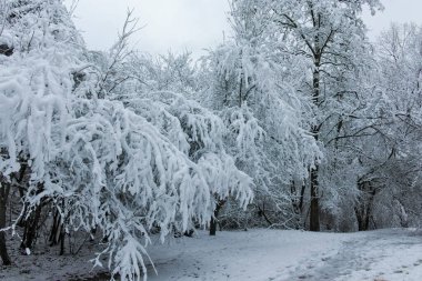 Bulgaristan 'ın Sofya kentindeki South Park' ın şaşırtıcı kış manzarası