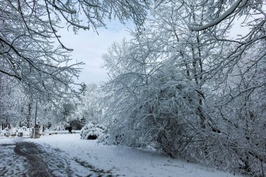 Bulgaristan 'ın Sofya kentindeki South Park' ın şaşırtıcı kış manzarası