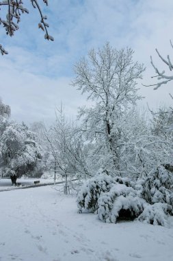 Bulgaristan 'ın Sofya kentindeki South Park' ın şaşırtıcı kış manzarası