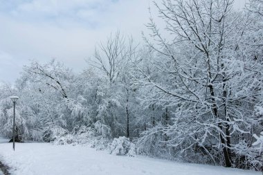 Bulgaristan 'ın Sofya kentindeki South Park' ın şaşırtıcı kış manzarası