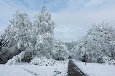 Bulgaristan 'ın Sofya kentindeki South Park' ın şaşırtıcı kış manzarası