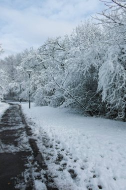 Bulgaristan 'ın Sofya kentindeki South Park' ın şaşırtıcı kış manzarası