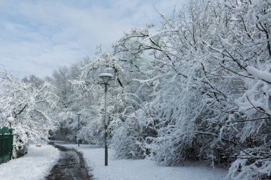Bulgaristan 'ın Sofya kentindeki South Park' ın şaşırtıcı kış manzarası