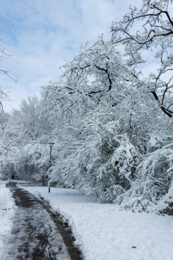 Bulgaristan 'ın Sofya kentindeki South Park' ın şaşırtıcı kış manzarası