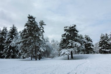 Bulgaristan 'ın Sofya kentindeki South Park' ın şaşırtıcı kış manzarası