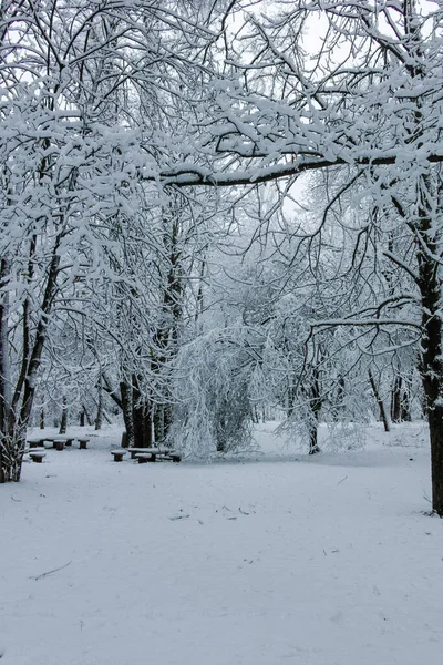 Niesamowity Widok Park Południowy Mieście Sofia Bułgaria — Zdjęcie stockowe