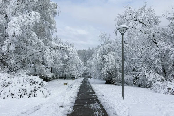 Καταπληκτική Θέα Χειμώνα Του South Park Στην Πόλη Σόφια Βουλγαρία — Φωτογραφία Αρχείου