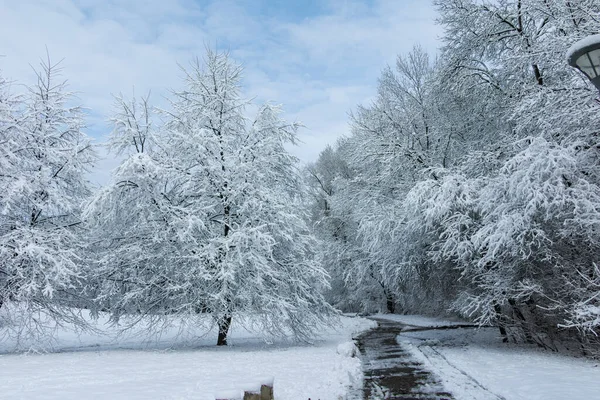 Amazing Winter View South Park City Sofia Bulgaria — Stock Photo, Image