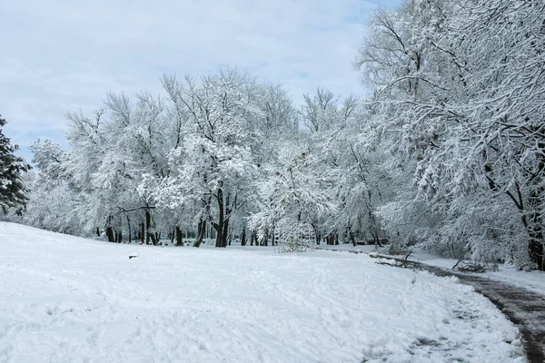 Καταπληκτική Θέα Χειμώνα Του South Park Στην Πόλη Σόφια Βουλγαρία — Φωτογραφία Αρχείου