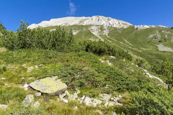 Amazing Summer Landscape Pirin Mountain Dekat Vihren Peak Bulgaria — Stok Foto