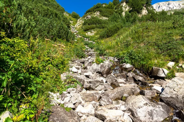 Amazing Summer Landscape Pirin Mountain Vihren Peak Bulgaria — Stock Photo, Image