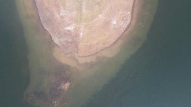Bulgaristan 'ın Pazardzhik bölgesindeki Batak Reservoir adasının hava manzarası