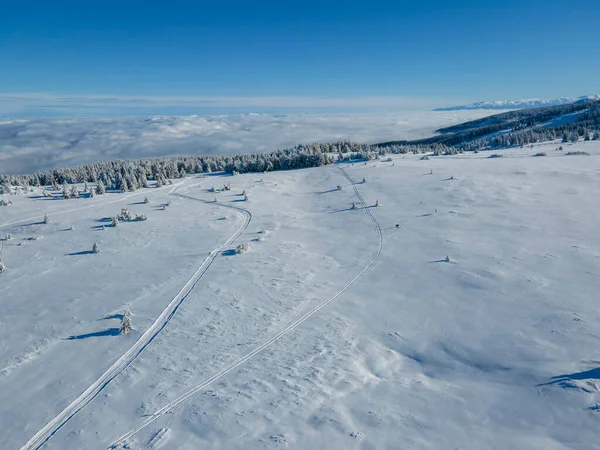 Letecký Zimní Pohled Horu Vitosha Sofijský Kraj Bulharsko — Stock fotografie