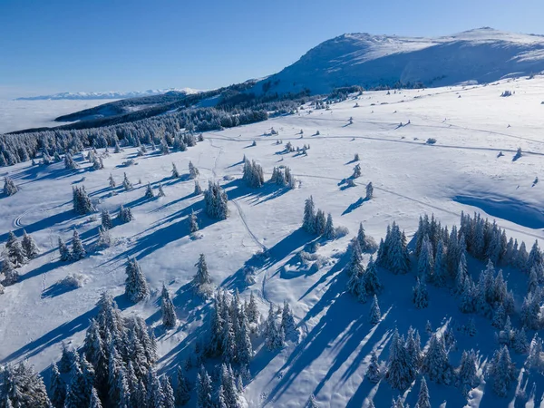 Légi Téli Kilátás Vitosha Mountain Szófia City Region Bulgária — Stock Fotó