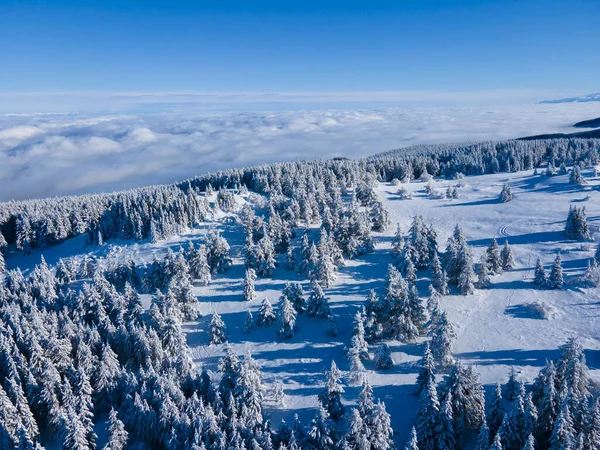 Aerial Winter View Vitosha Mountain Sofia City Region Bulgaria Stock Image