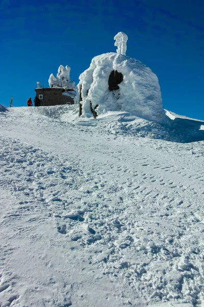 ブルガリア ソフィア市チェルニ ヴラー山頂付近のヴィトシャ山の冬景色 — ストック写真