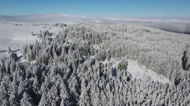 Bulgaristan 'ın Sofya Şehir Bölgesi, Vitosha Dağı' nın Hava Kış Manzarası