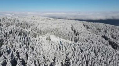 Bulgaristan 'ın Sofya Şehir Bölgesi, Vitosha Dağı' nın Hava Kış Manzarası