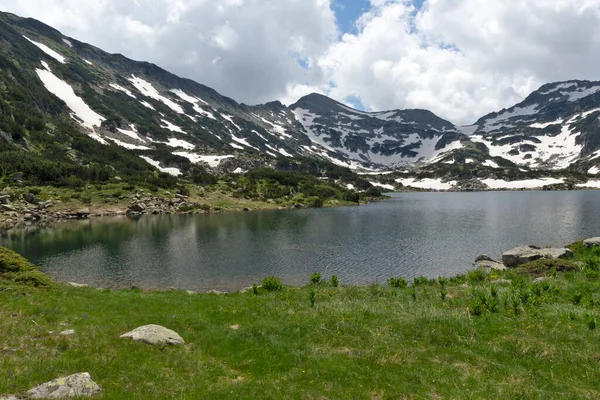 Amazing Summer Landscape Pirin Mountain Dekat Popovo Lake Bulgaria — Stok Foto