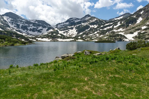 Fantastisk Sommar Landskap Pirin Mountain Nära Popovo Lake Bulgarien — Stockfoto