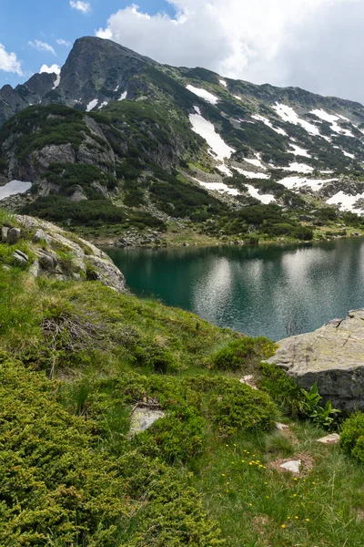 Fantastisk Sommar Landskap Pirin Mountain Nära Popovo Lake Bulgarien — Stockfoto