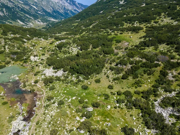 Vue Aérienne Incroyable Rivière Banderitsa Pirin Mountain Bulgarie — Photo