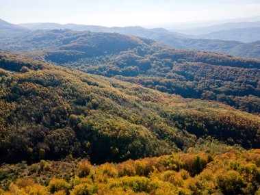 Bulgaristan 'ın Pernik Bölgesi, Kamenititsa zirvesi yakınlarındaki Erul dağının şaşırtıcı sonbahar manzarası
