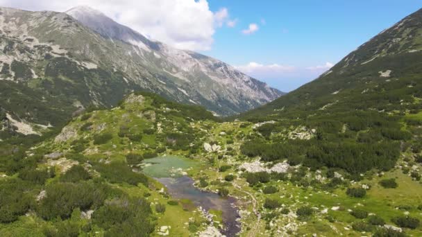 Vue Aérienne Rivière Banderitsa Pirin Mountain Bulgarie — Video
