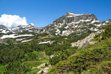 Bulgaristan 'ın Popovo Gölü yakınlarındaki Pirin Dağı' nın İnanılmaz Yaz Manzarası