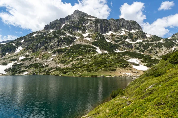 Úžasná Letní Krajina Hory Pirin Blízkosti Jezera Popovo Bulharsko — Stock fotografie