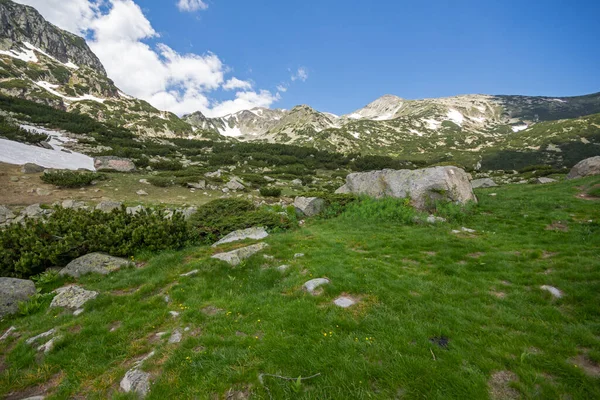 Paysage Estival Incroyable Montagne Pirin Près Lac Popovo Bulgarie — Photo