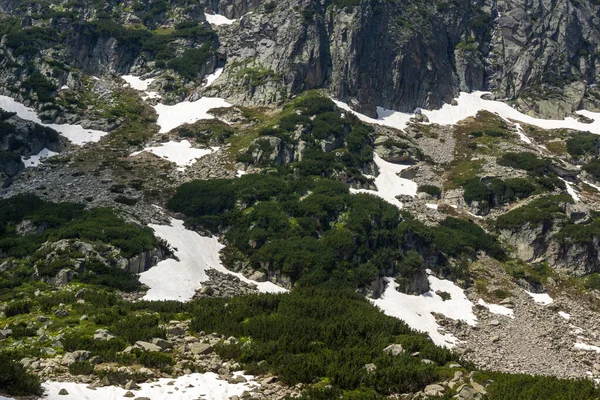 Increíble Paisaje Verano Montaña Pirin Cerca Del Lago Popovo Bulgaria — Foto de Stock