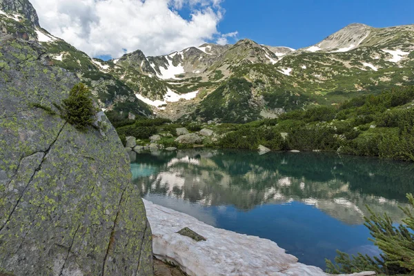 Amazing Summer Landscape Pirin Mountain Dekat Popovo Lake Bulgaria — Stok Foto