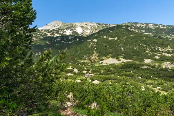 Increíble Paisaje Verano Montaña Pirin Cerca Del Lago Popovo Bulgaria —  Fotos de Stock