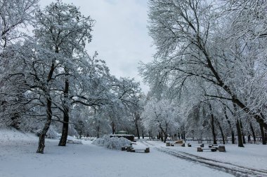 Bulgaristan 'ın Sofya kentindeki South Park' ın şaşırtıcı kış manzarası