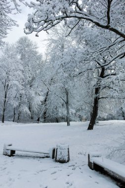 Bulgaristan 'ın Sofya kentindeki South Park' ın şaşırtıcı kış manzarası