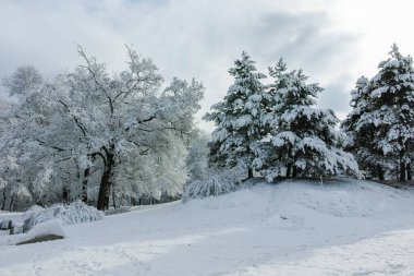Bulgaristan 'ın Sofya kentindeki South Park' ın şaşırtıcı kış manzarası
