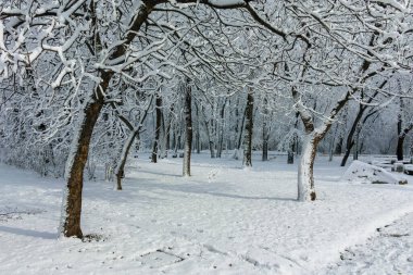 Bulgaristan 'ın Sofya kentindeki South Park' ın şaşırtıcı kış manzarası