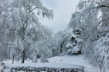 Bulgaristan 'ın Sofya kentindeki South Park' ın şaşırtıcı kış manzarası