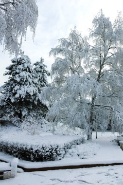 Bulgaristan 'ın Sofya kentindeki South Park' ın şaşırtıcı kış manzarası