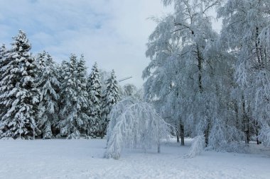 Bulgaristan 'ın Sofya kentindeki South Park' ın şaşırtıcı kış manzarası